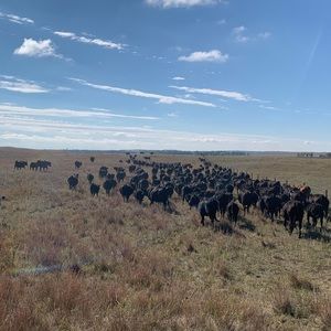 Meet your Posher, Danny